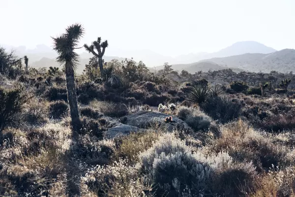 Pioneertown, CA 92268,0 Gilhouse LN