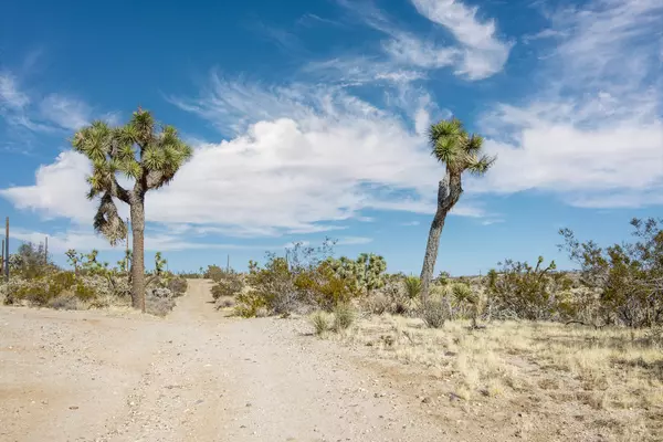 Yucca Valley, CA 92284,5610 Yucca Mesa RD