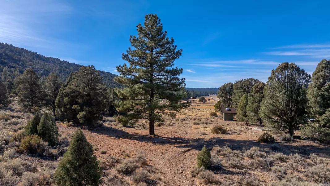 3700 State LN, Big Bear City, CA 92314