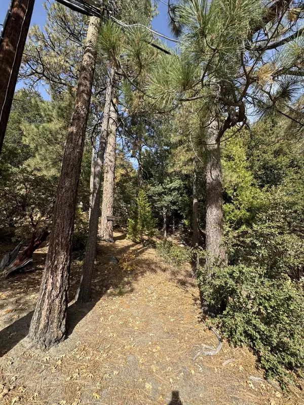 Idyllwild, CA 92549,53642 Jeffrey Pine Rd RD