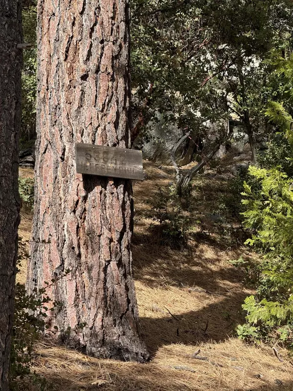 Idyllwild, CA 92549,53642 Jeffrey Pine Rd RD