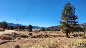 Big Bear City, CA 92314,1940 Golden Rod AVE