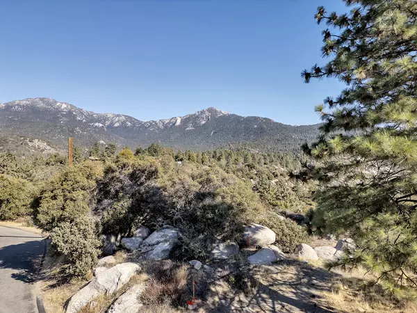 Idyllwild, CA 92549,0 Doubleview DR