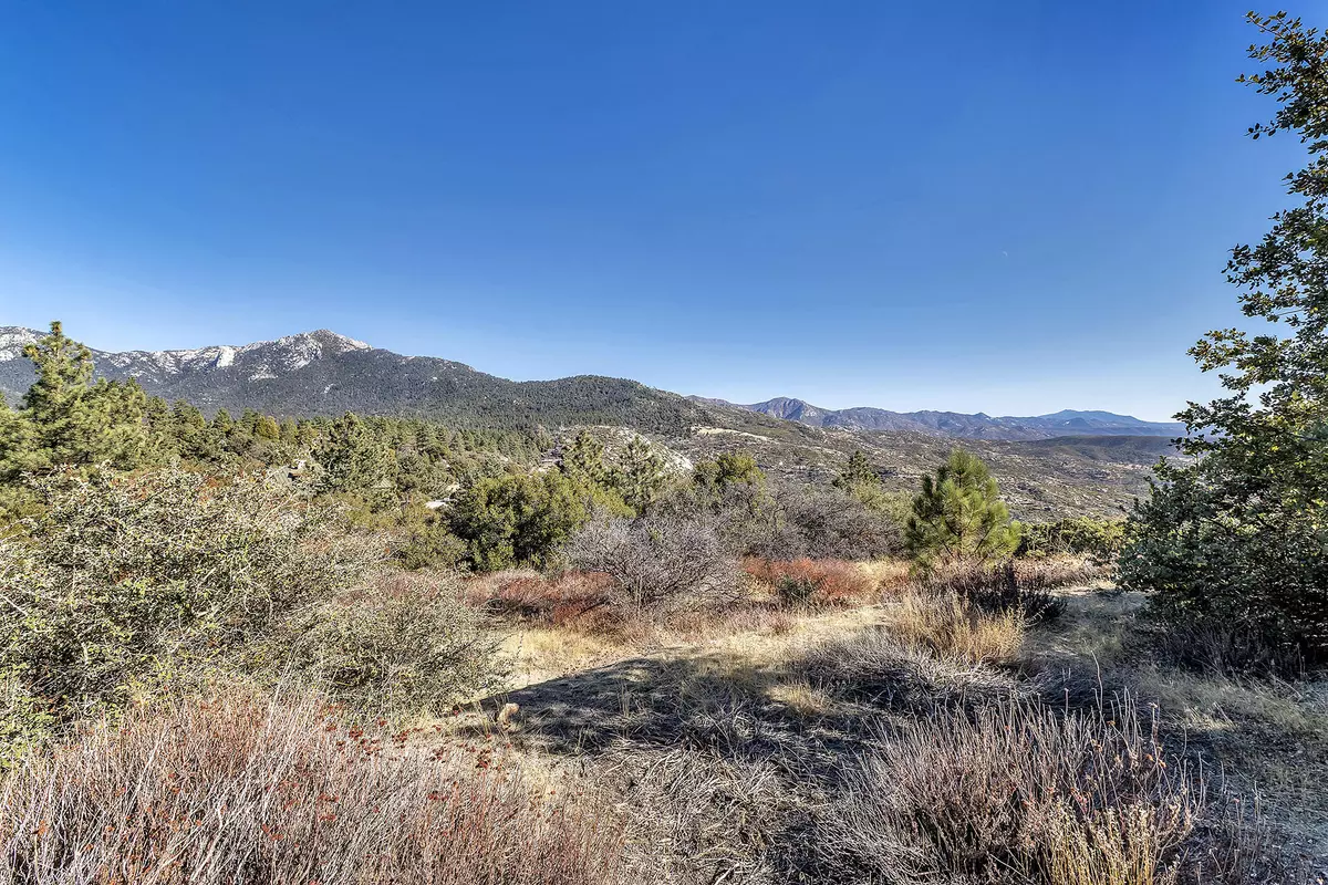 Idyllwild, CA 92549,0 Doubleview DR