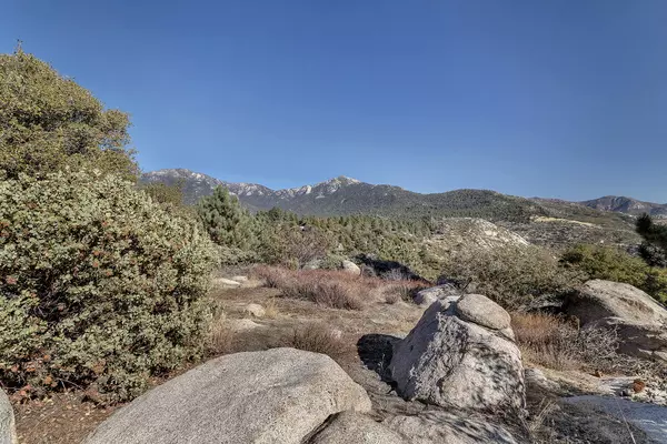 Idyllwild, CA 92549,0 Doubleview DR