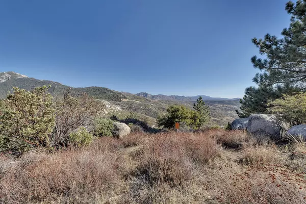 Idyllwild, CA 92549,0 Doubleview DR