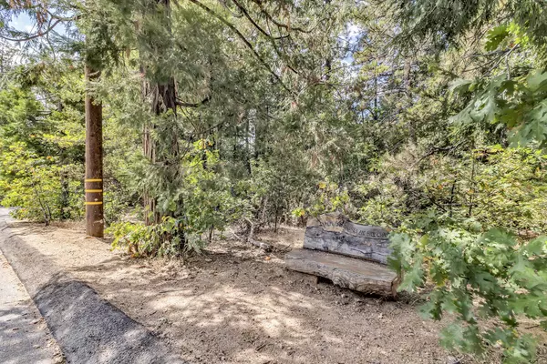 Idyllwild, CA 92549,0 N Circle DR