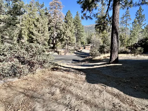 Idyllwild, CA 92549,54790 North CIR