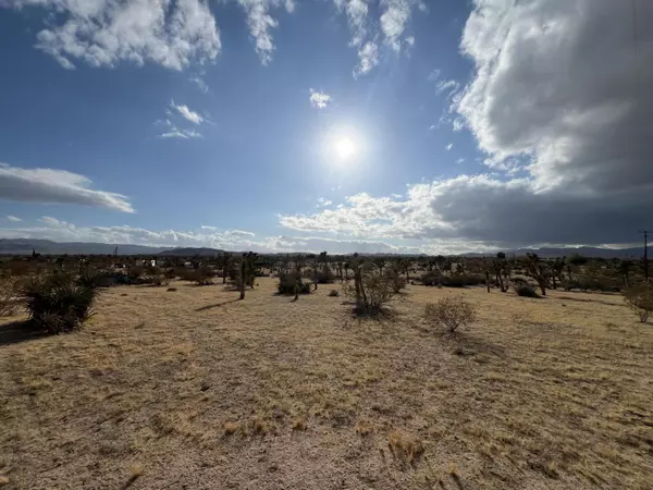 Yucca Valley, CA 92284,0 Campanula ST