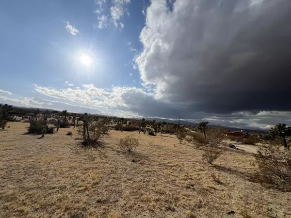 Yucca Valley, CA 92284,0 Campanula ST