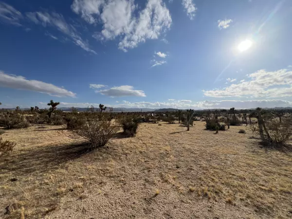 Yucca Valley, CA 92284,0 Campanula ST