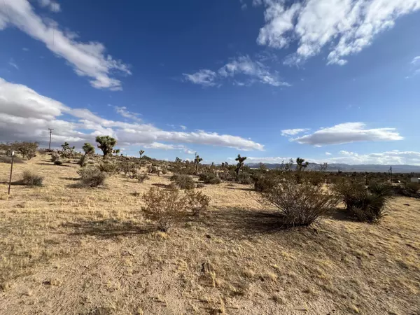 Yucca Valley, CA 92284,0 Campanula ST