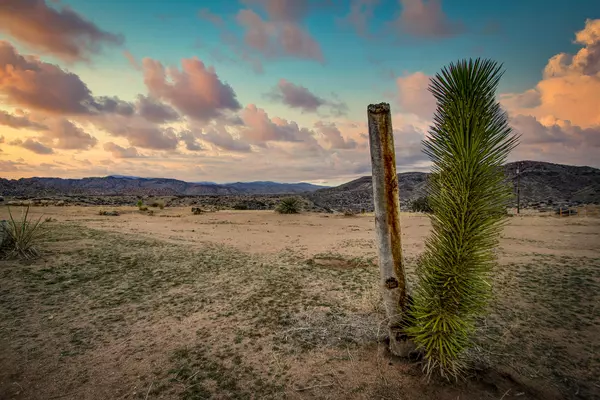 Pioneertown, CA 92268,109 Tom Mix RD