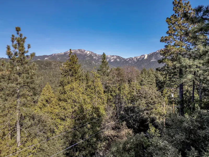 53071 Middle Ridge DR, Idyllwild, CA 92549