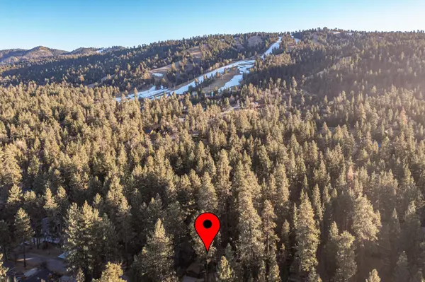 Big Bear Lake, CA 92315,41633 Mcwhinney LN