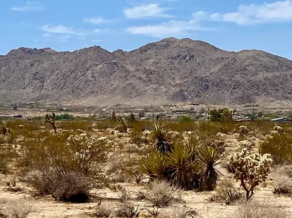 117 Border RD, Joshua Tree, CA 92252