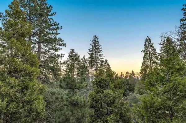 Idyllwild, CA 92549,25280 Scenic View DR
