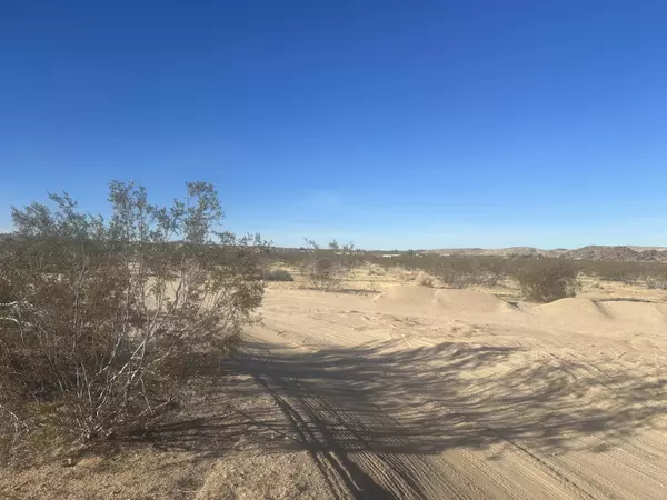 Joshua Tree, CA 92252,0 Sunflower RD