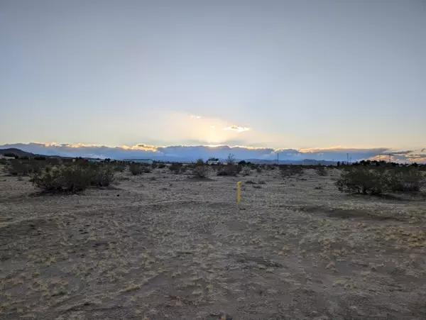 Landers, CA 92285,0 Bellwether