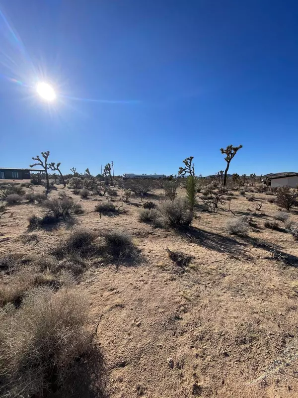 Joshua Tree, CA 92252,0 Saddleback RD