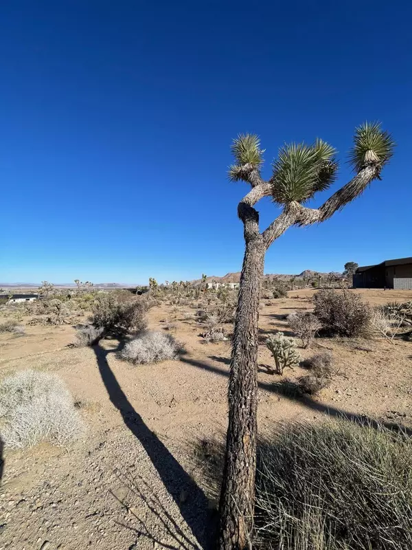 Joshua Tree, CA 92252,0 Saddleback RD