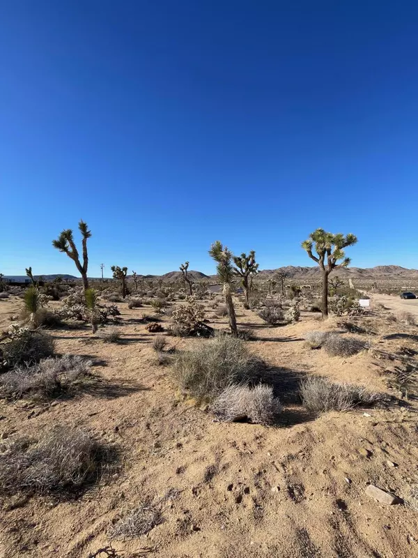 0 Saddleback RD, Joshua Tree, CA 92252