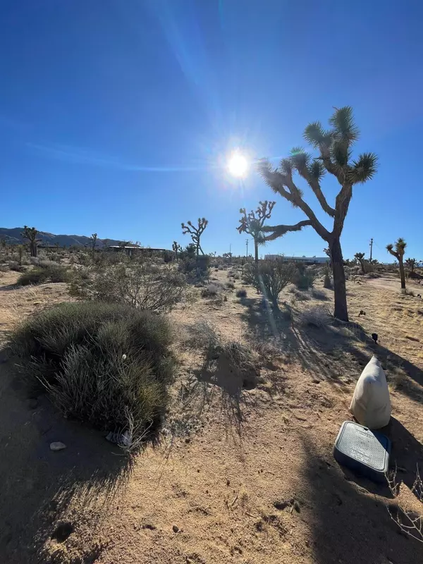 Joshua Tree, CA 92252,0 Saddleback RD