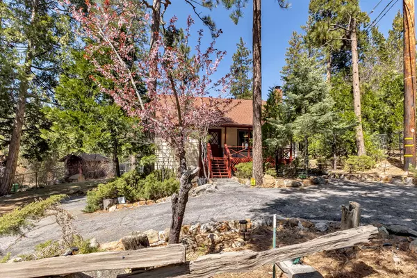 55250 John Muir RD, Idyllwild, CA 92549