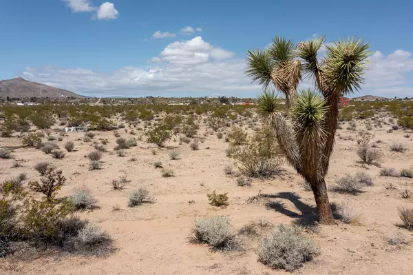 Joshua Tree, CA 92252,62790 Canterbury ST