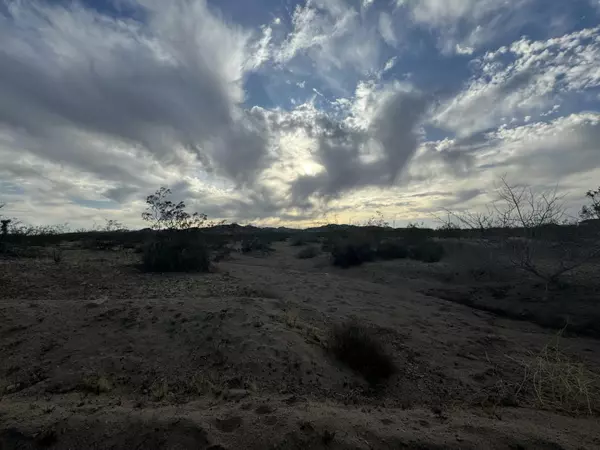 Landers, CA 92285,0 Mariquita RD