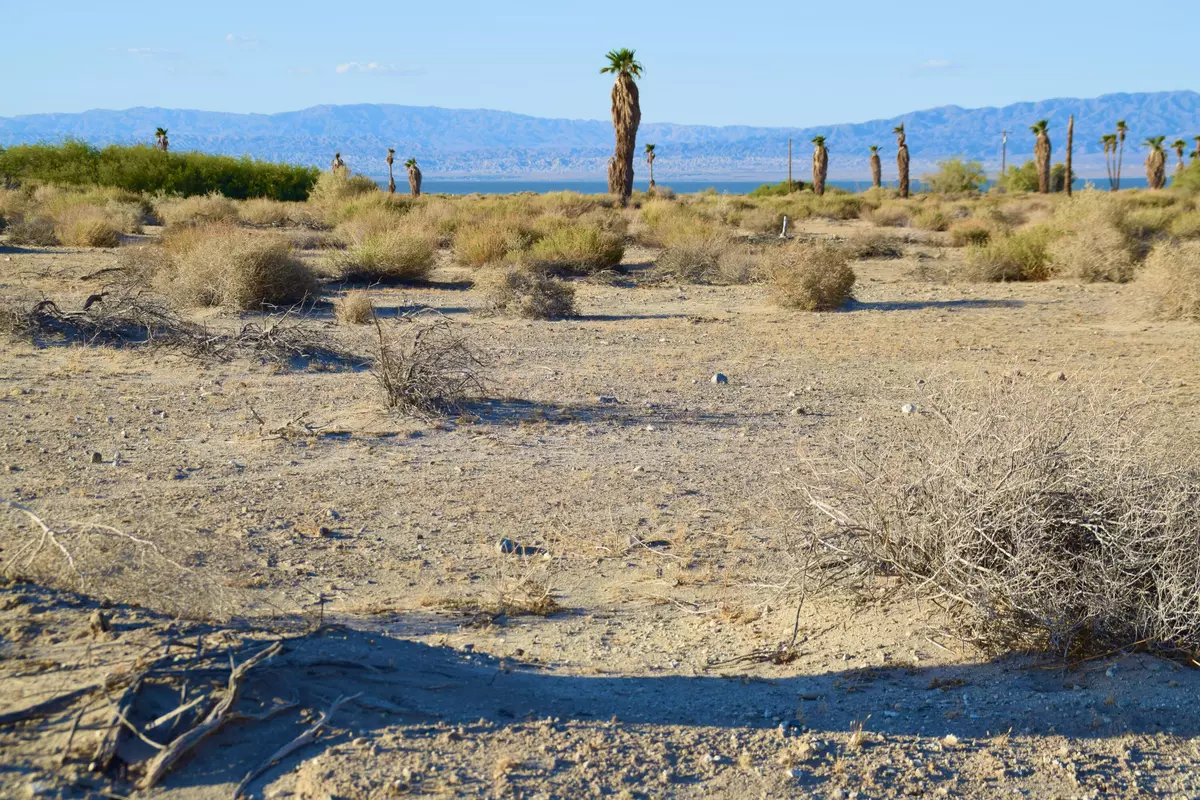 Thermal, CA 92274,2835 Beachcomber AVE