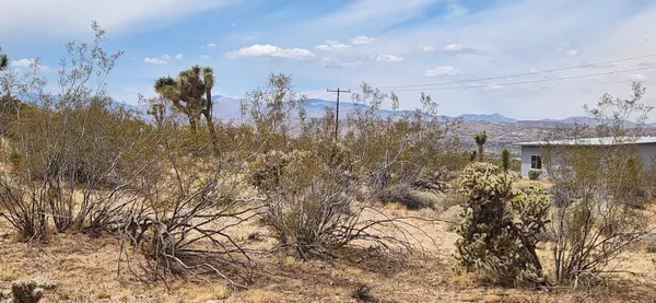 Joshua Tree, CA 92252,0 Olympic RD