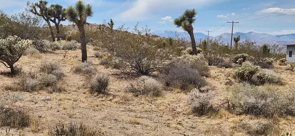 Joshua Tree, CA 92252,0 Olympic RD