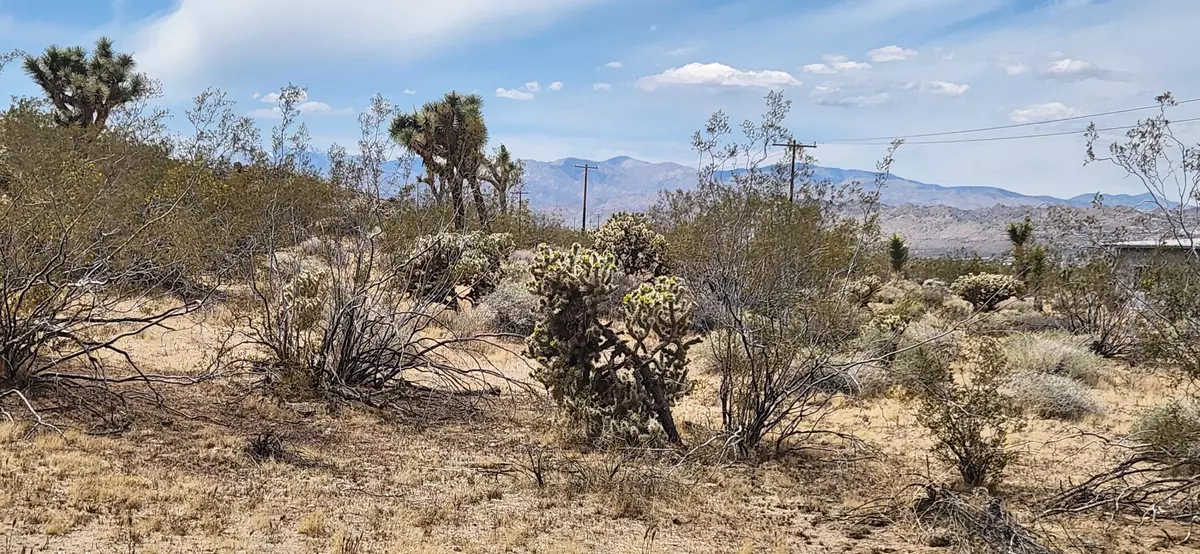 Joshua Tree, CA 92252,0 Olympic RD