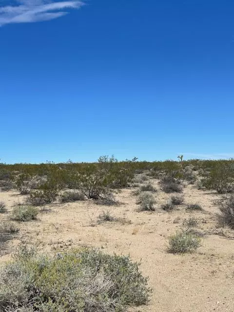 Joshua Tree, CA 92252,2776 Bonair AVE