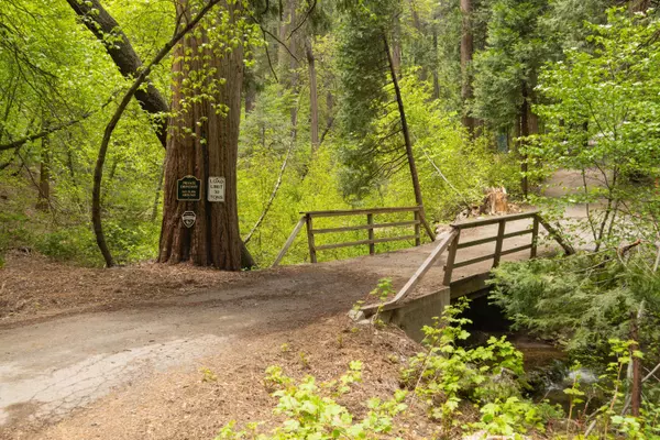 Lake Arrowhead, CA 92317,710 Blue Jay Canyon RD