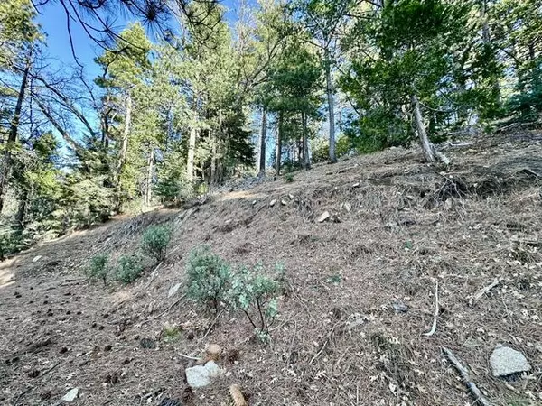 Idyllwild, CA 92549,0 Green Craig