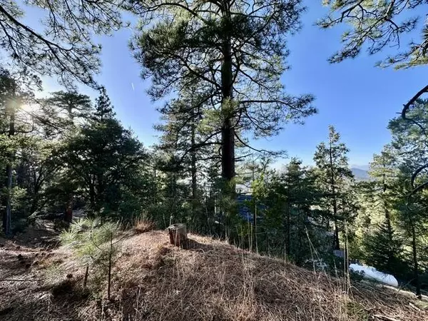 Idyllwild, CA 92549,0 Green Craig