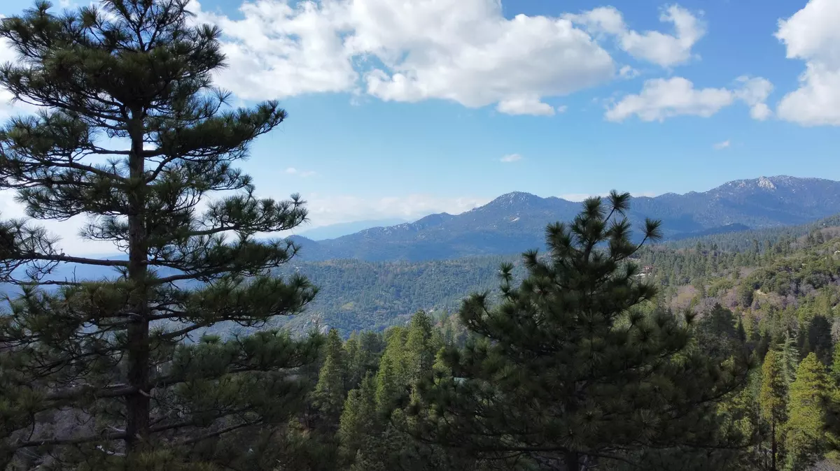 Idyllwild, CA 92549,0 Green Craig