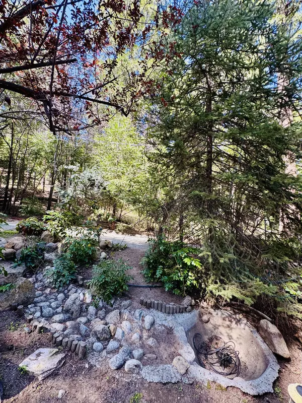 Idyllwild, CA 92549,53110 Marian View Drive DR