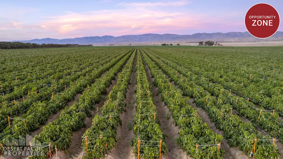 Mecca, CA 92254,0 Ave 72 & Hayes ST