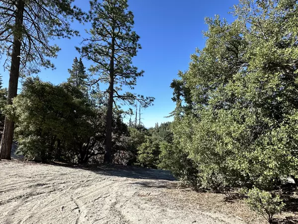 Idyllwild, CA 92549,0 Mountain VW