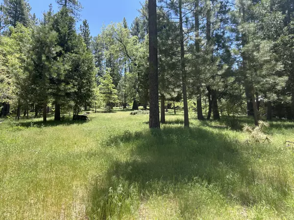 Idyllwild, CA 92549,0 Tollgate RD