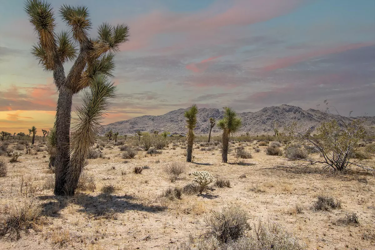 Joshua Tree, CA 92252,125 Drexel RD