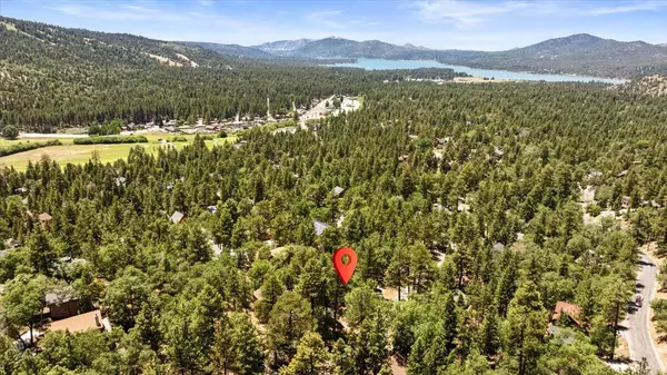 Big Bear, CA 92314,1179 Sheephorn RD