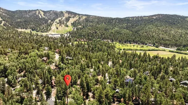 Big Bear, CA 92314,1179 Sheephorn RD