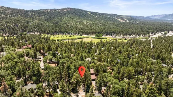 Big Bear, CA 92314,1179 Sheephorn RD