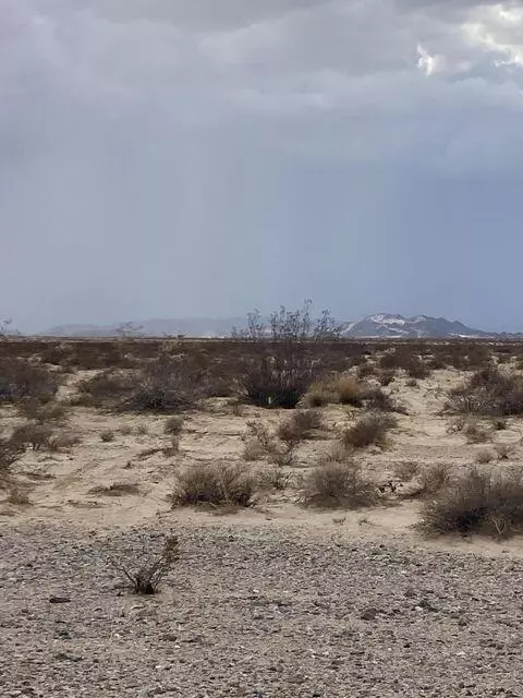 Joshua Tree, CA 92252,60600 Winters RD