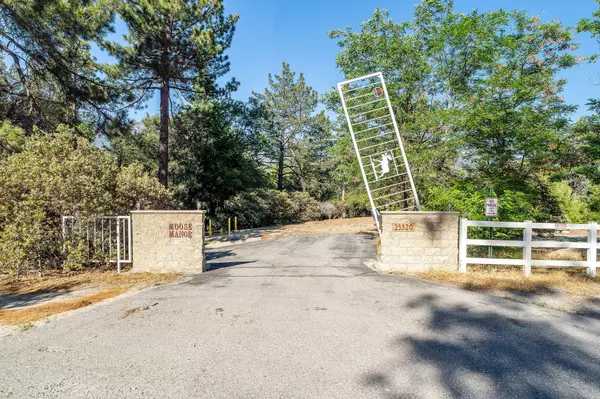 Idyllwild, CA 92549,23520 Highway 243