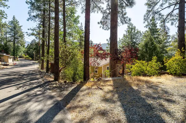 Idyllwild, CA 92549,53545 Double View DR
